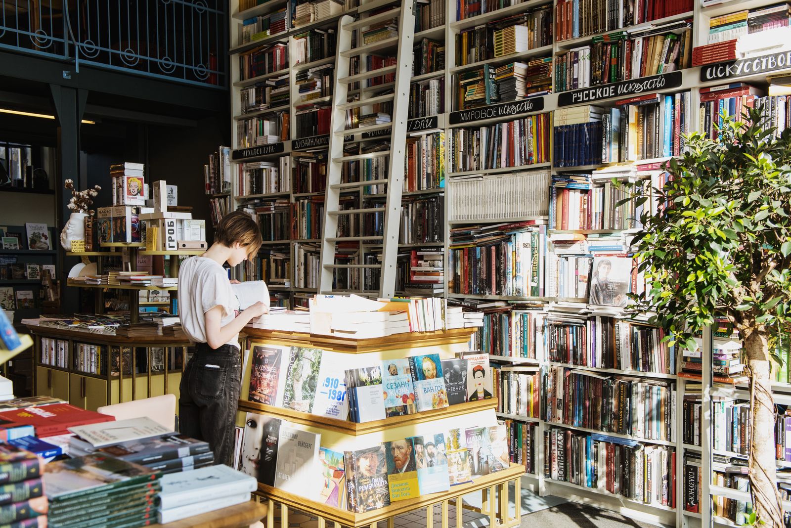 Tall shelves and a rolling ladder in a two-story bookstore